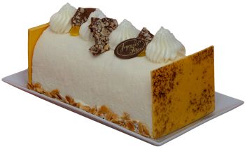 Bûche Passion d’hiver